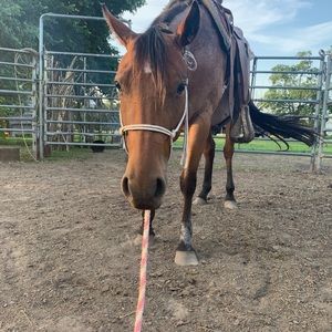 Meet your Posher, Annsleigh